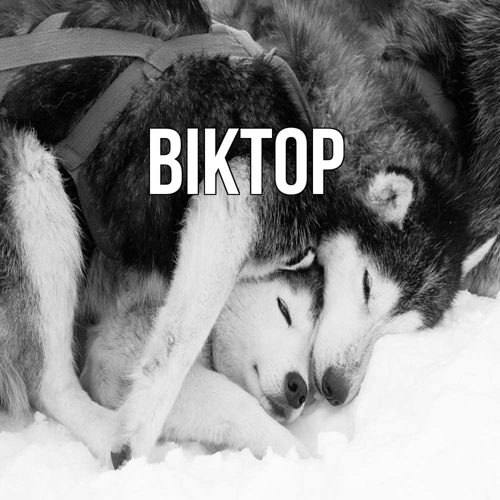 Открытка  с именем. Віктор, Главная  