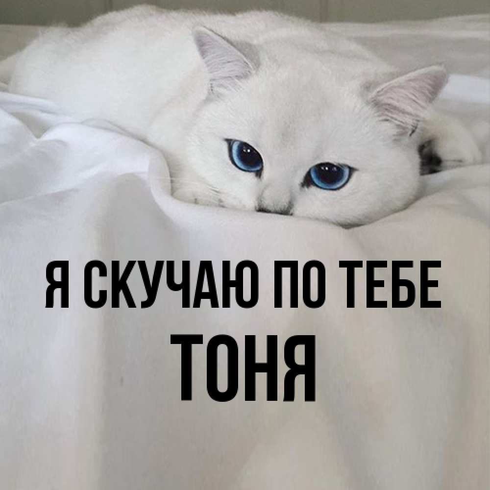 Открытка  с именем. Тоня, Я скучаю по тебе  