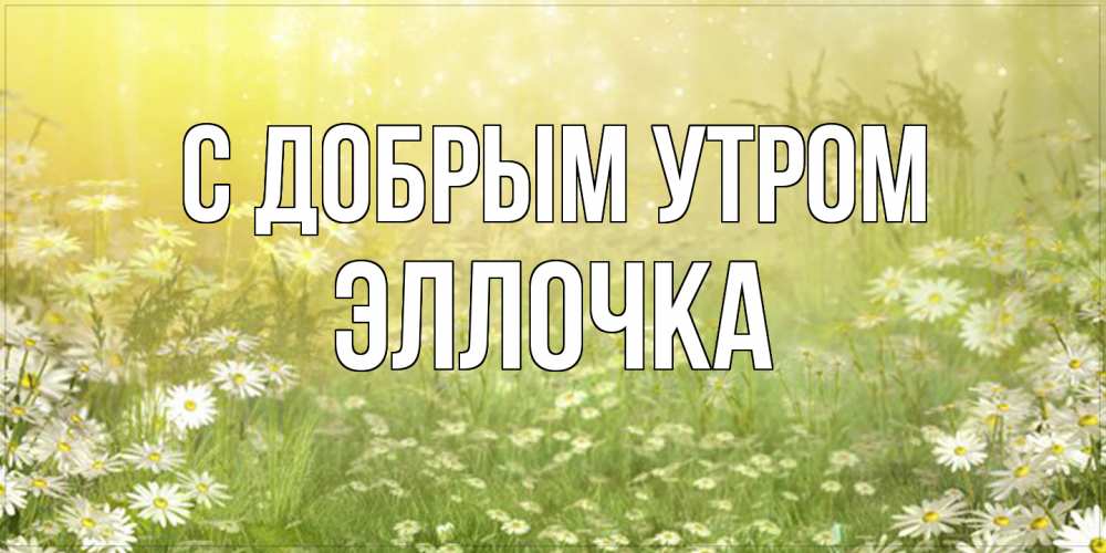 Открытка  с именем. Эллочка, С добрым утром  