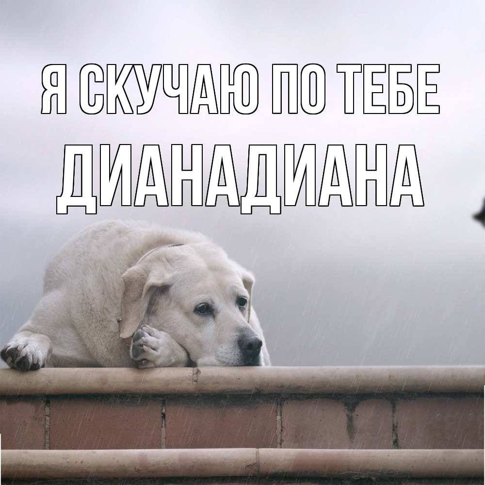 Открытка  с именем. ДианаДиана, Я скучаю по тебе  