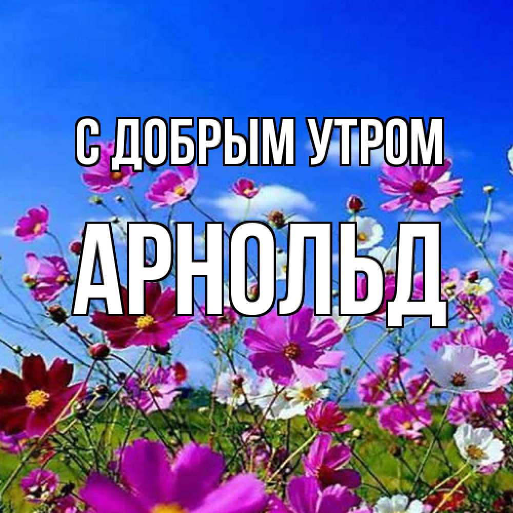 Открытка  с именем. Арнольд, С добрым утром  
