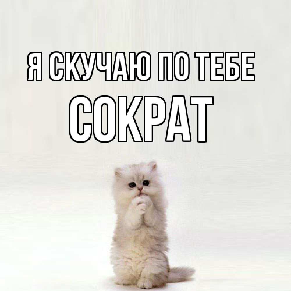 Открытка  с именем. Сократ, Я скучаю по тебе  