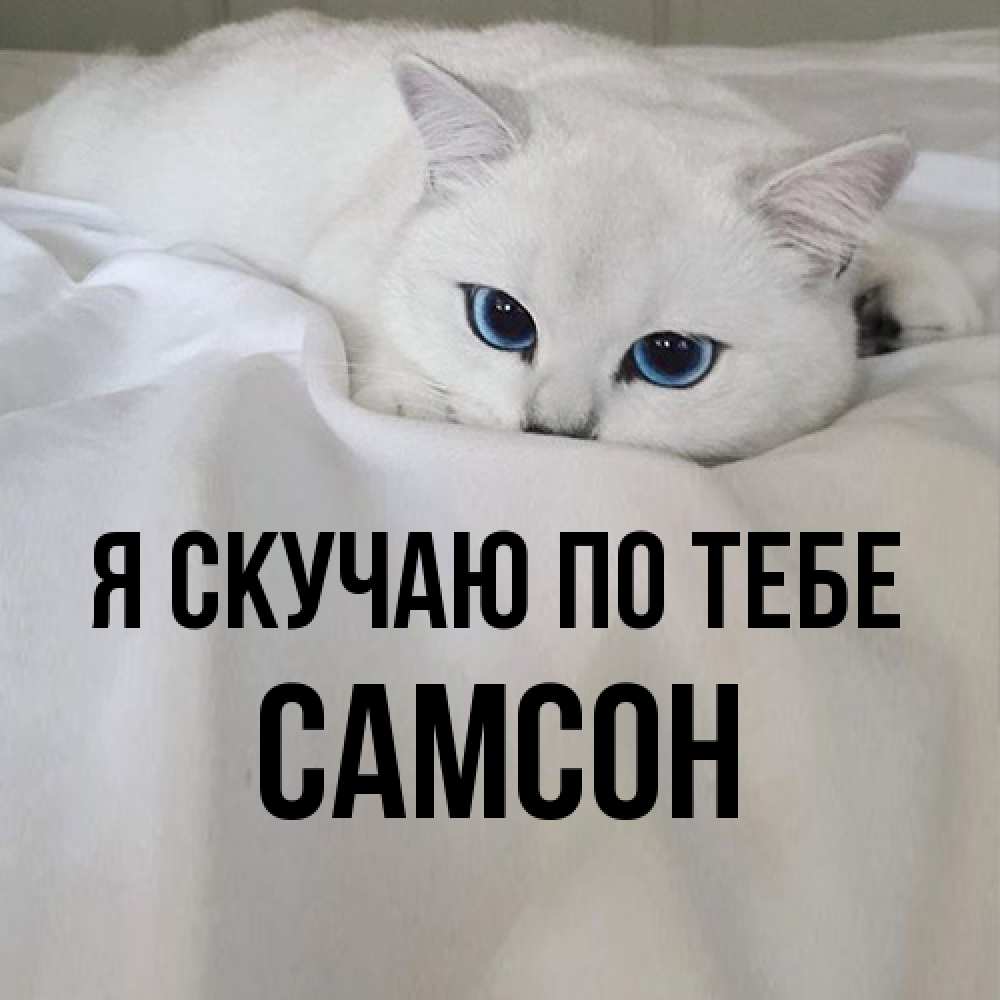 Открытка  с именем. Самсон, Я скучаю по тебе  