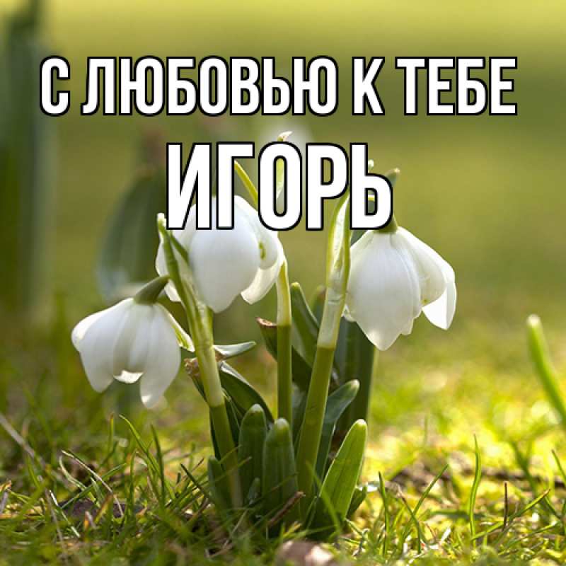 Картинка С любовью к тебе, Игорь