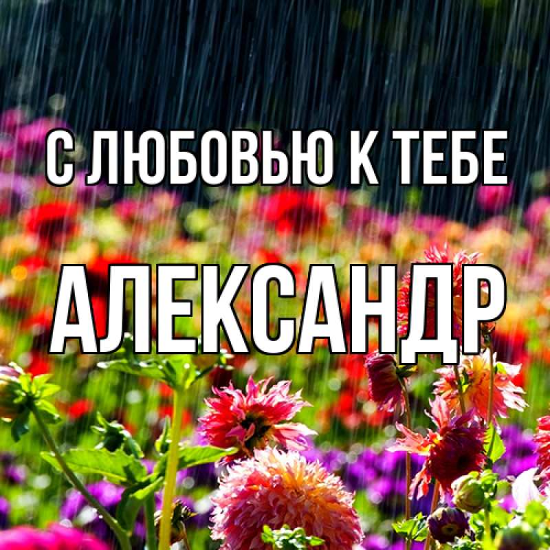 Картинка С любовью к тебе, Александр