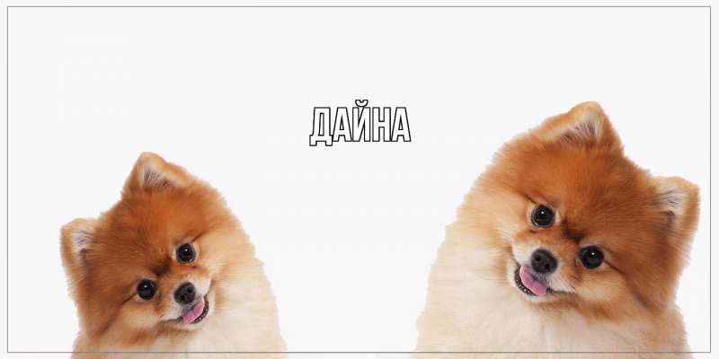 Картинка  с именем , Дайна