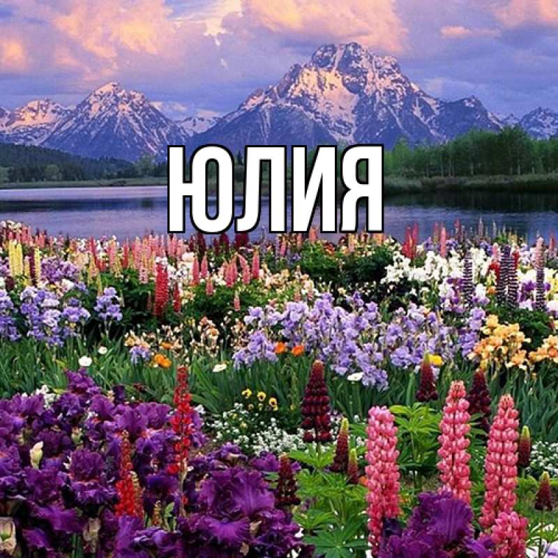Картинка  с именем , Юлия