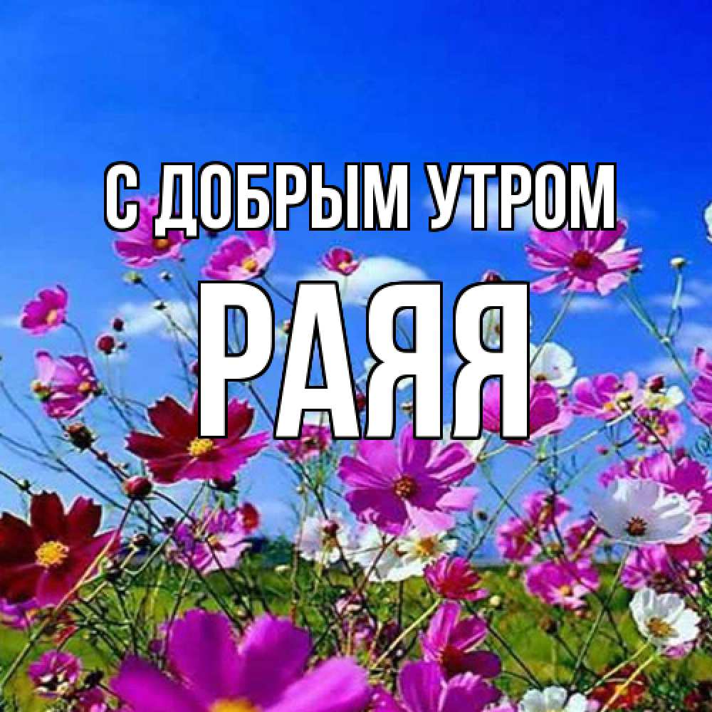 Открытка  с именем. Раяя, С добрым утром  