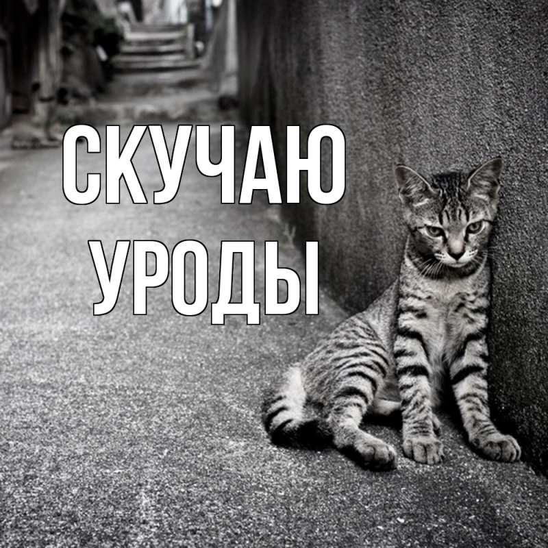 Картинка Скучаю, уроды