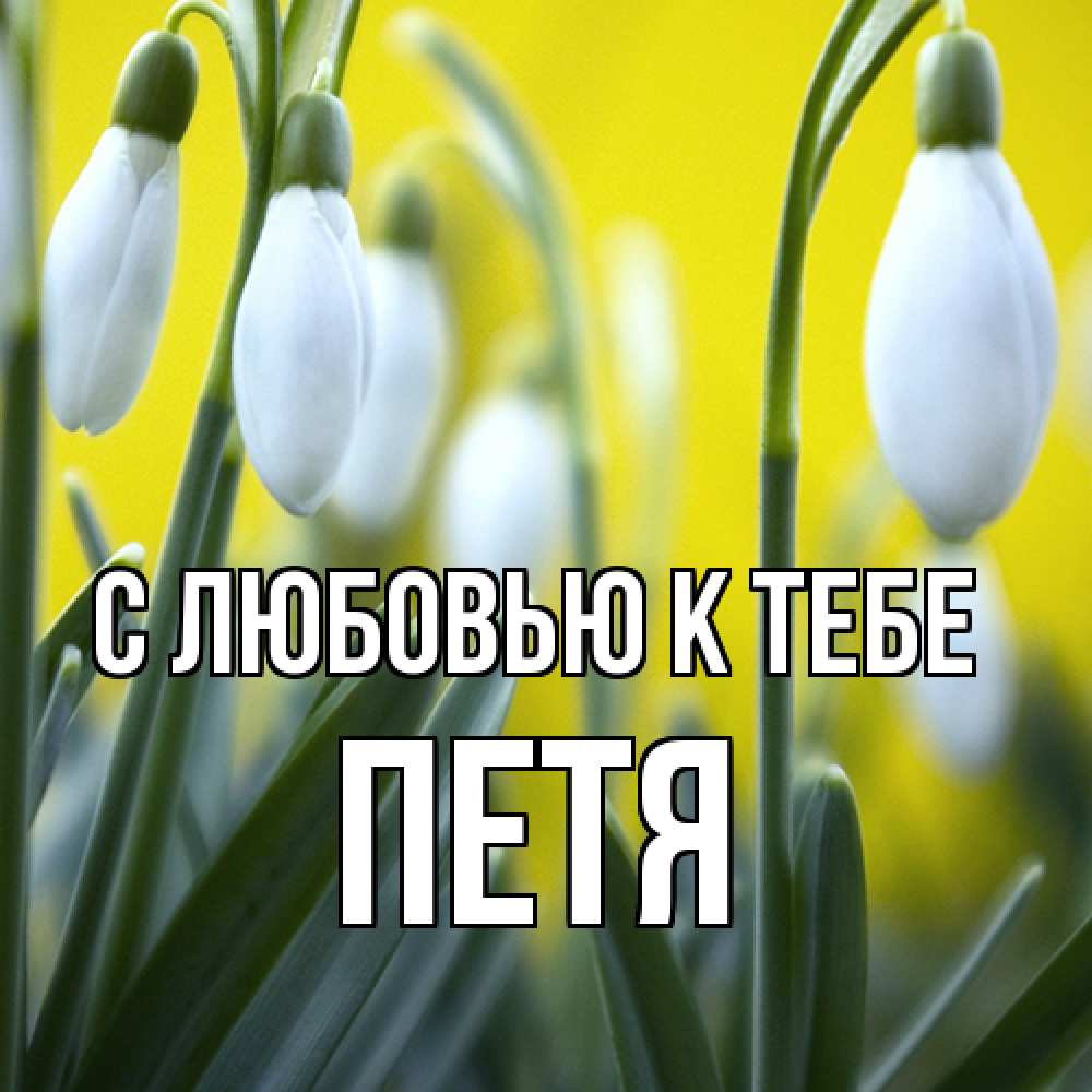 Открытка  с именем. петя, С любовью к тебе  