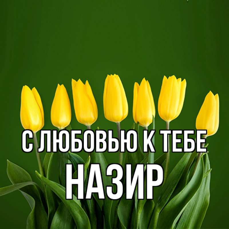 Картинка С любовью к тебе, Назир