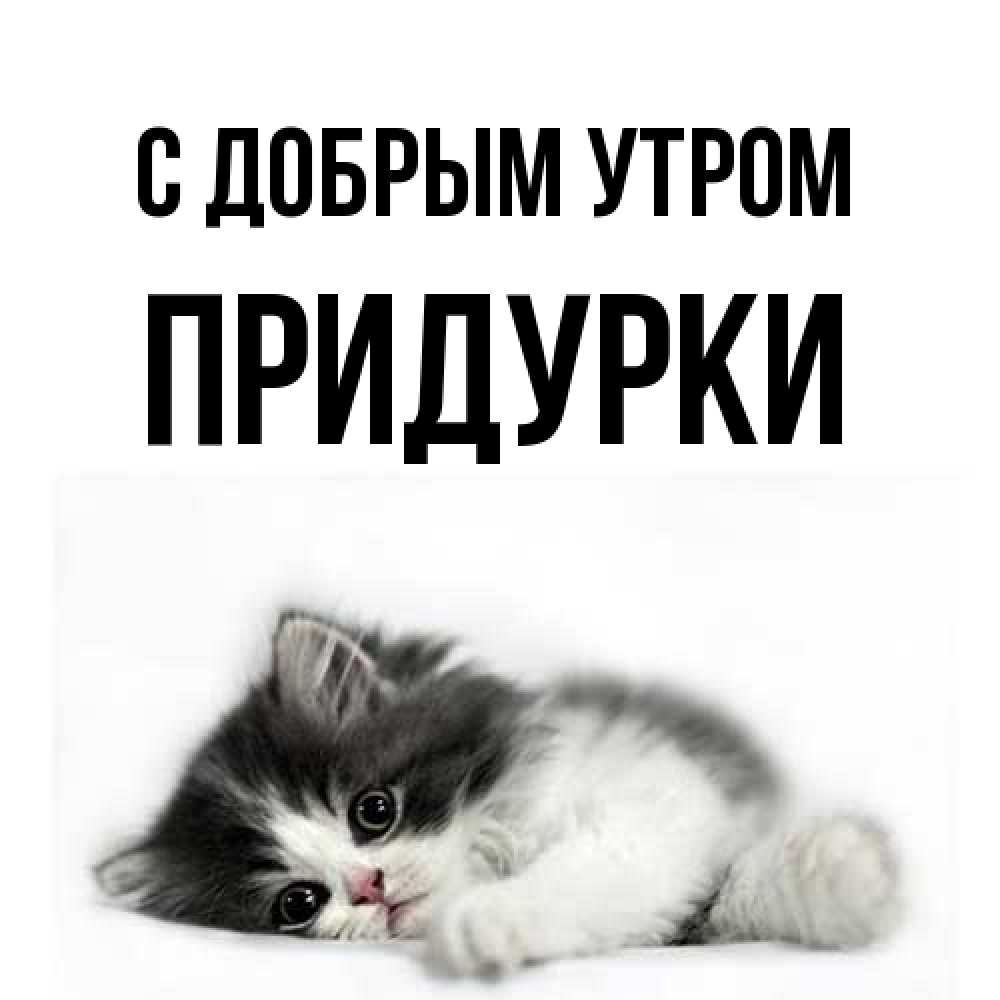 Открытка  с именем. Придурки, С добрым утром  