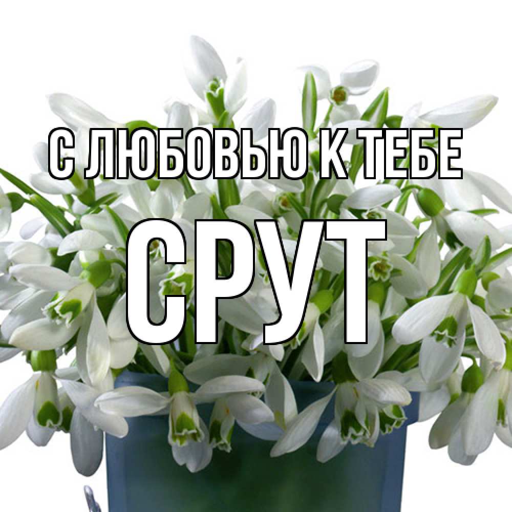 Открытка  с именем. срут, С любовью к тебе  