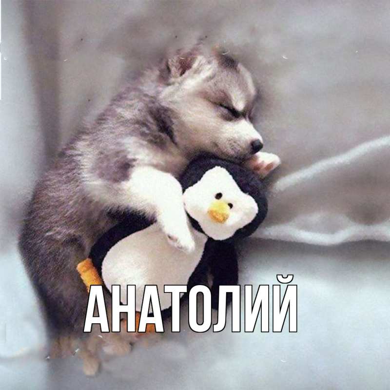 Картинка  с именем , Анатолий