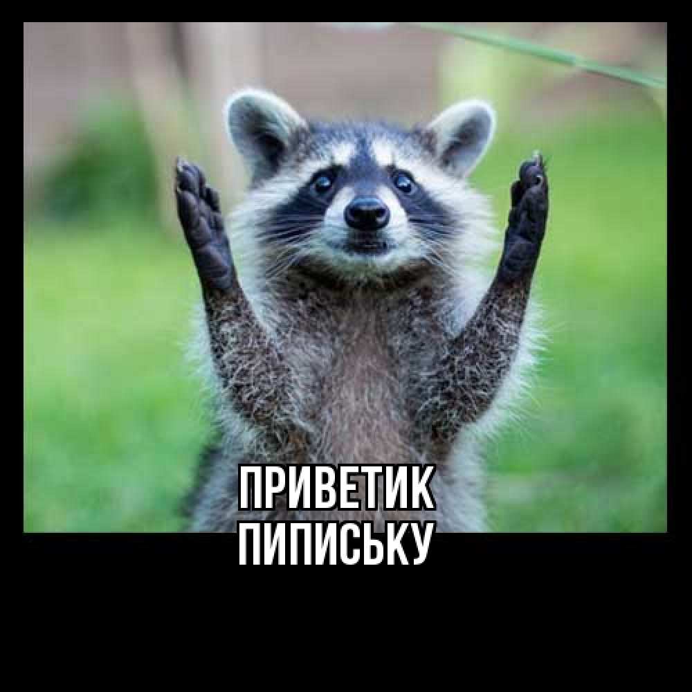Открытка  с именем. Пипиську, приветик  
