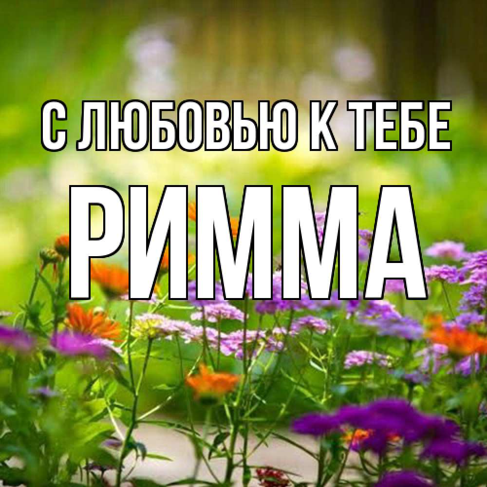 Открытка  с именем. Римма, С любовью к тебе  