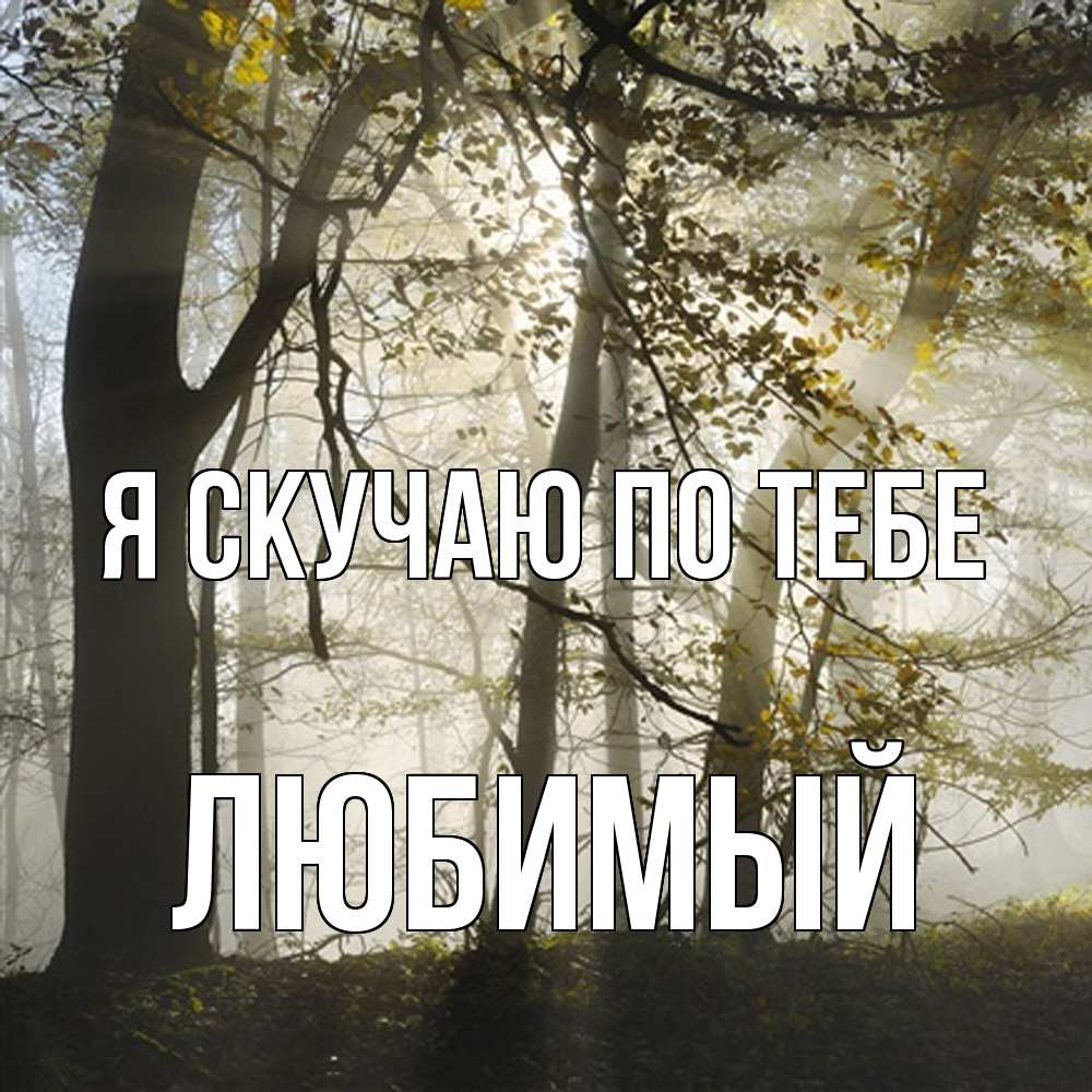 Открытка  с именем. Любимый, Я скучаю по тебе  