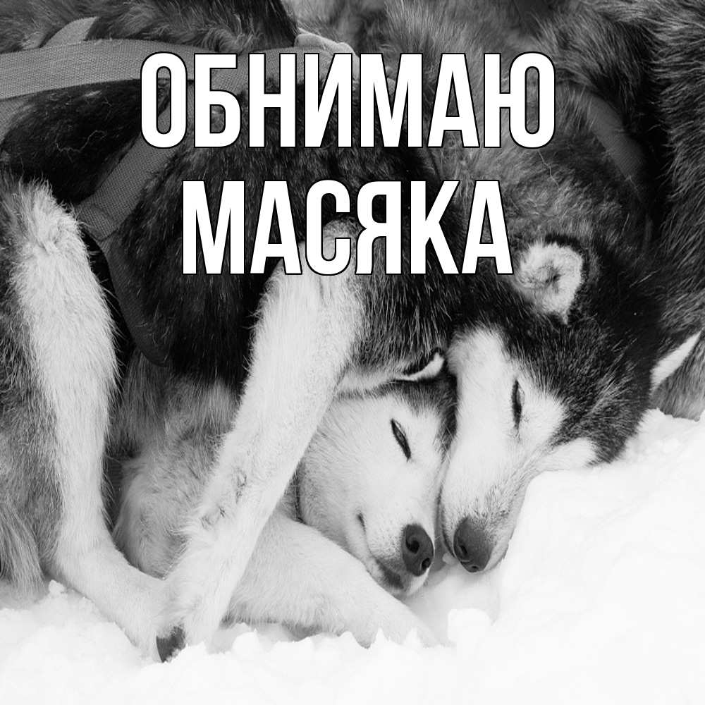 Открытка  с именем. Масяка, Обнимаю  