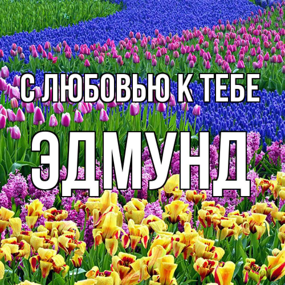 Открытка  с именем. Эдмунд, С любовью к тебе  