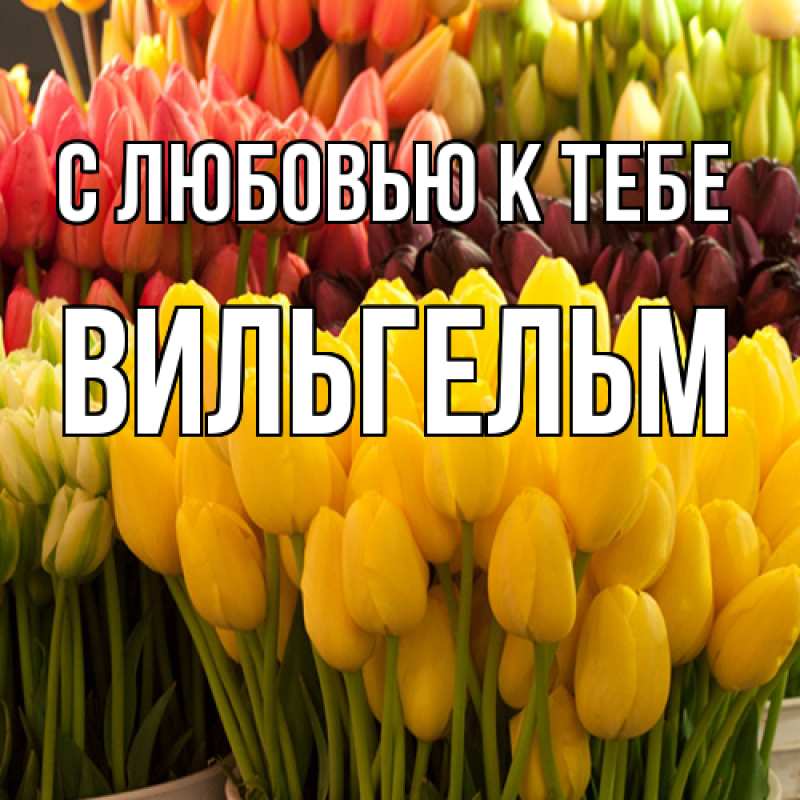 Картинка С любовью к тебе, Вильгельм