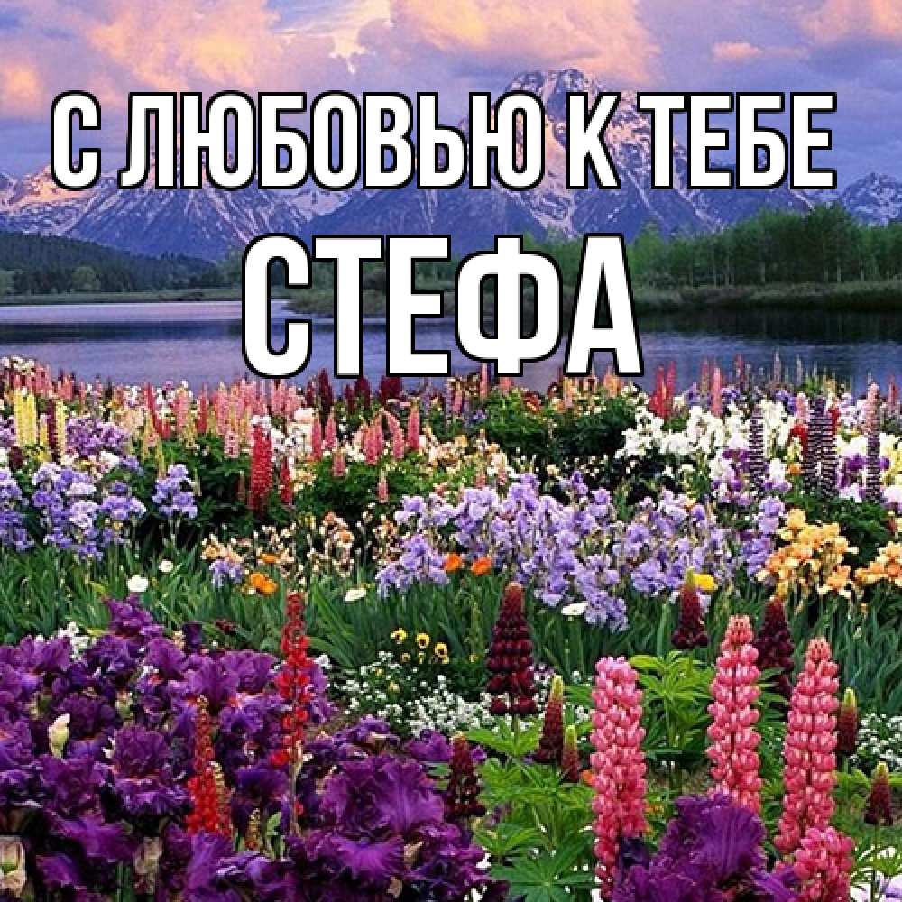 Открытка  с именем. стефа, С любовью к тебе  