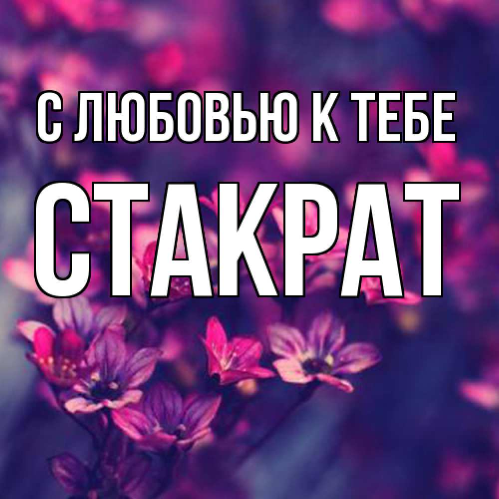 Открытка  с именем. Стакрат, С любовью к тебе  