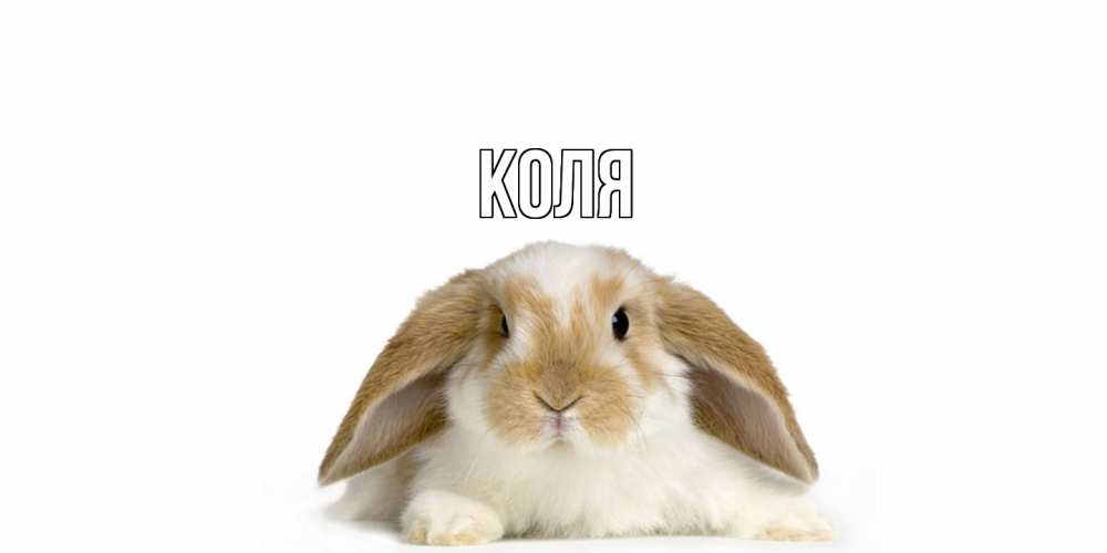 Открытка  с именем. коля, Главная  