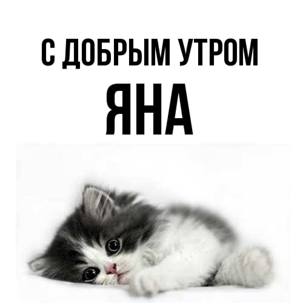Открытка  с именем. Яна, С добрым утром  