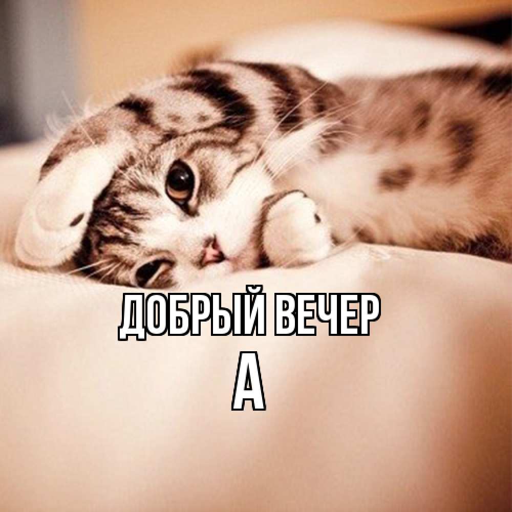 Открытка  с именем. а, Добрый вечер  