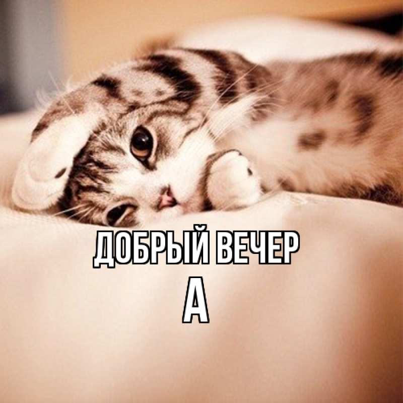 Картинка Добрый вечер, а