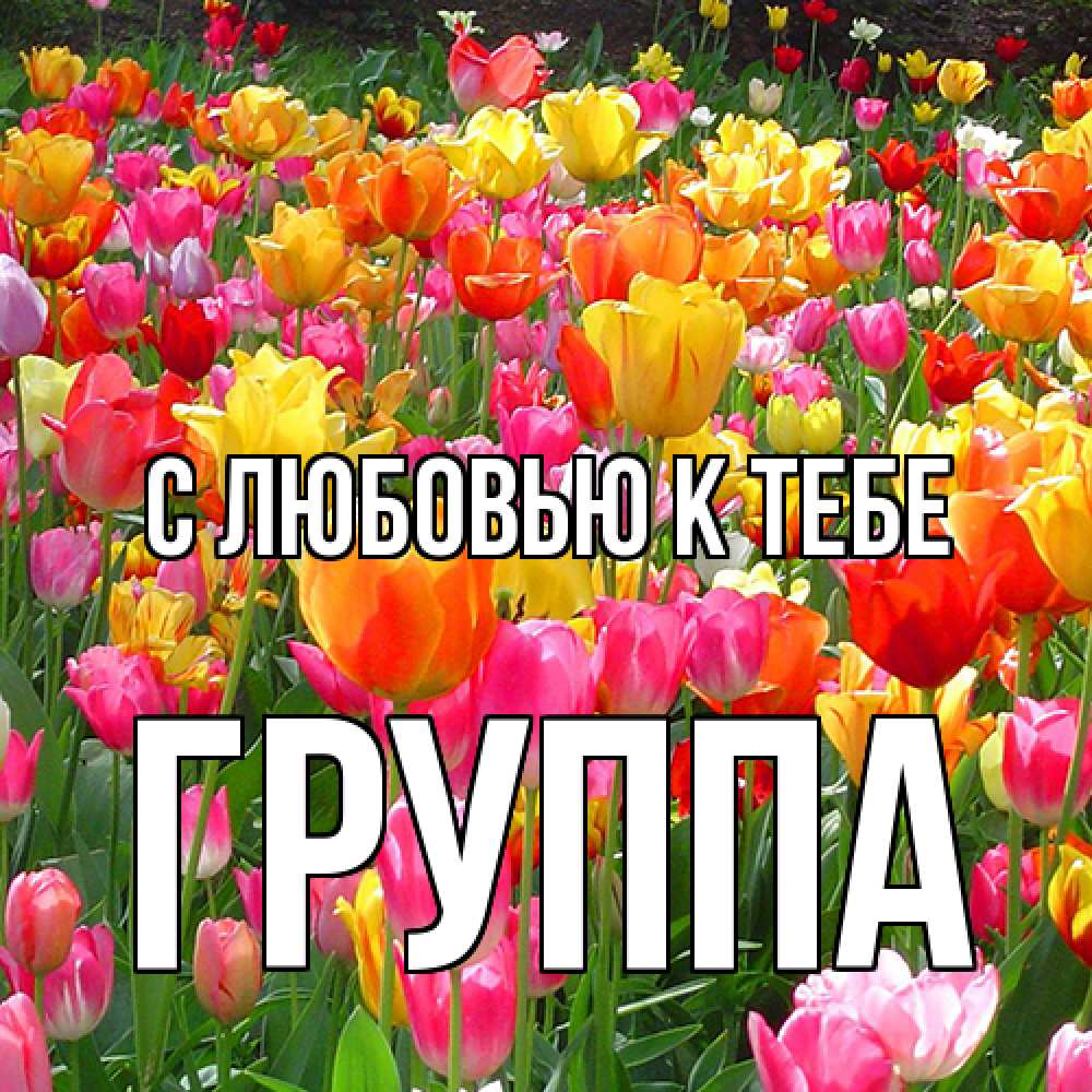 Открытка  с именем. Группа, С любовью к тебе  