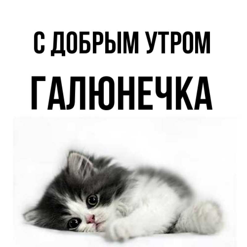 Картинка С добрым утром, Галюнечка