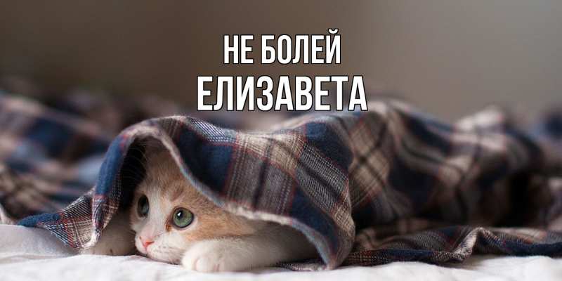 Открытка с именем, Елизавета, Не болей