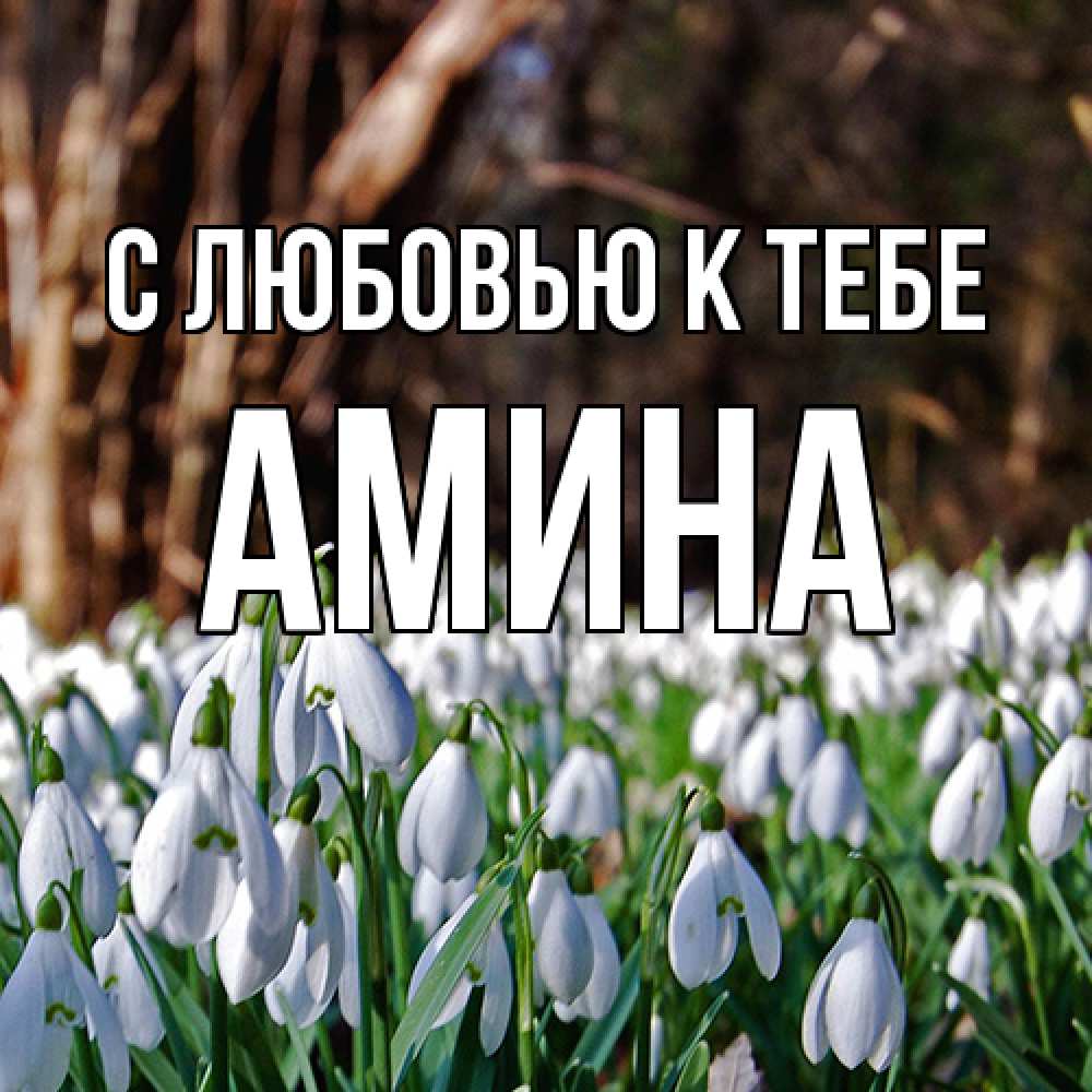 Открытка  с именем. Амина, С любовью к тебе  