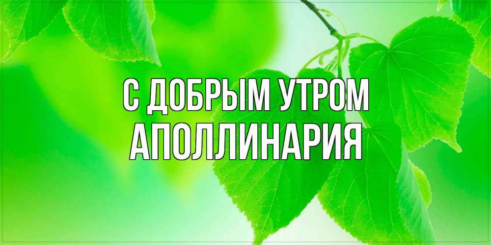 Открытка  с именем. Аполлинария, С добрым утром  