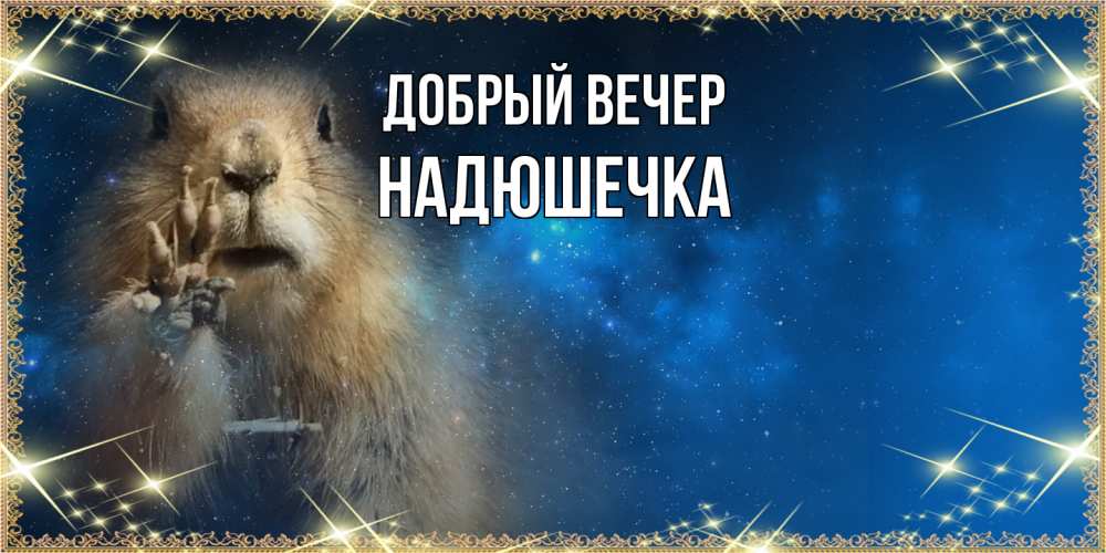 Открытка  с именем. Надюшечка, Добрый вечер  
