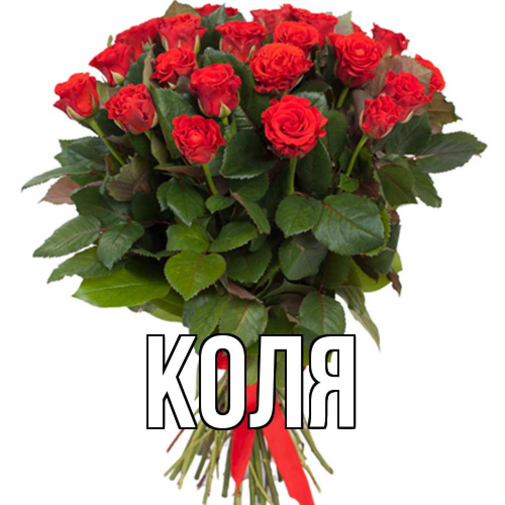 Открытка  с именем. коля, Главная  
