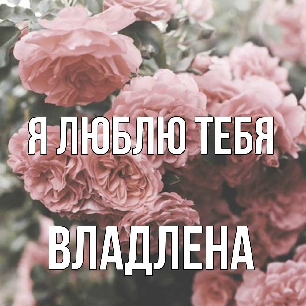 Открытка  с именем. Владлена, Я люблю тебя  