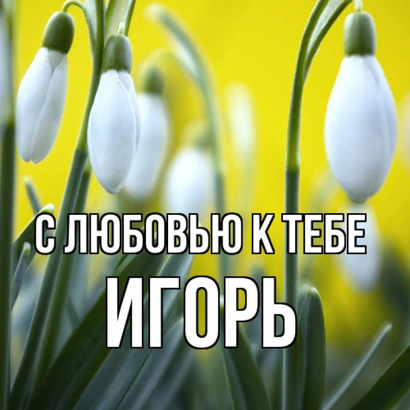 Картинка С любовью к тебе, Игорь