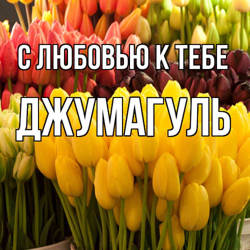 Открытка  с именем. Джумагуль, С любовью к тебе  