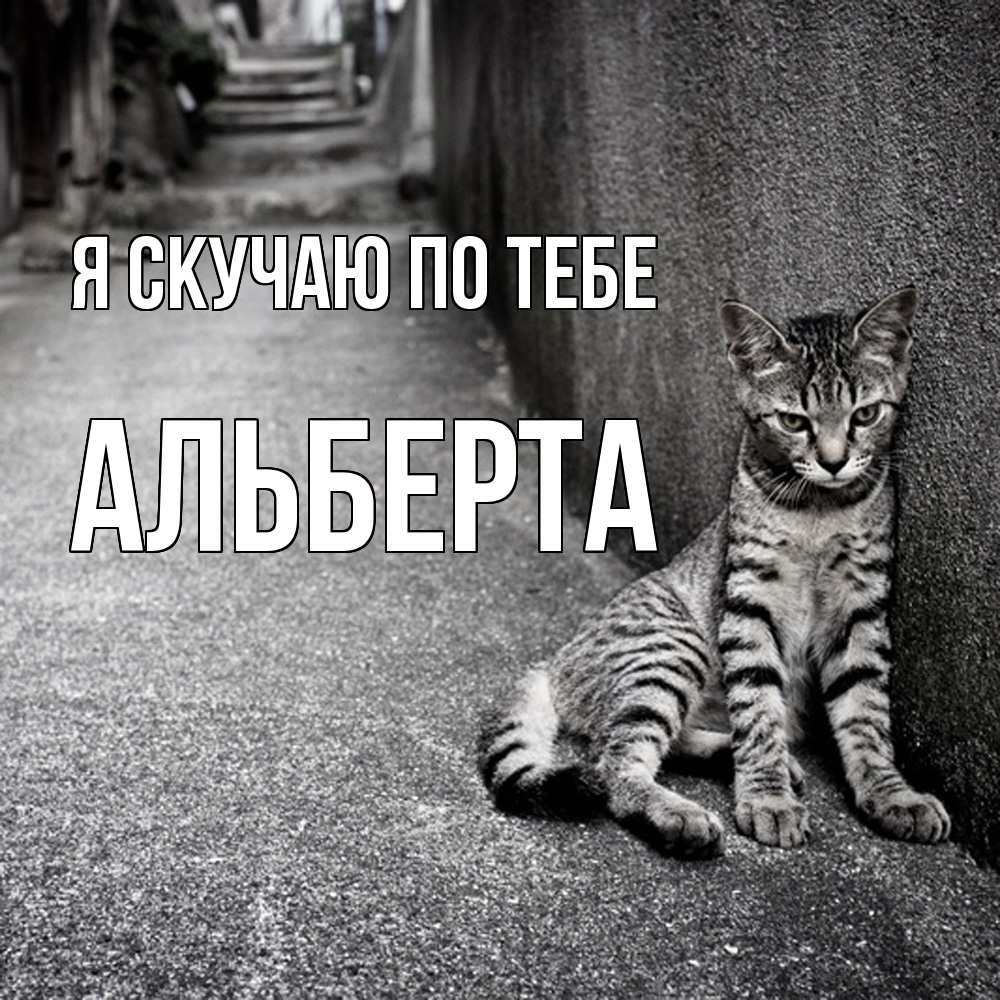 Открытка  с именем. Альберта, Я скучаю по тебе  