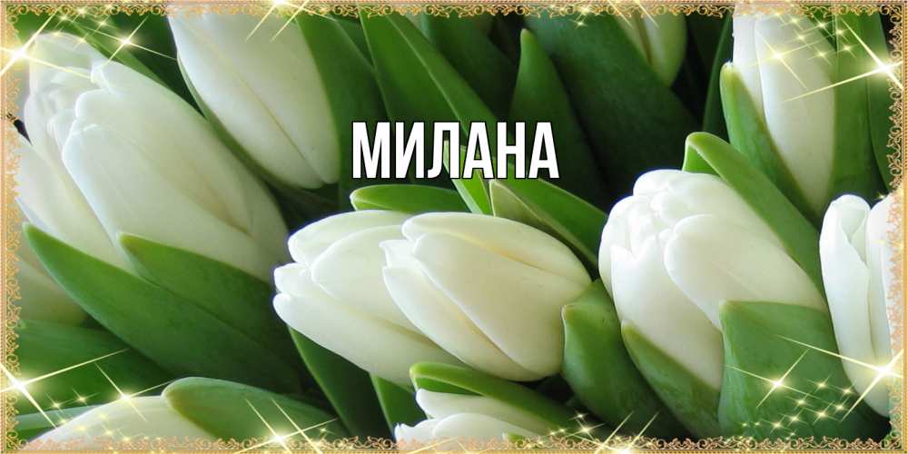 Открытка  с именем. Милана, Главная  