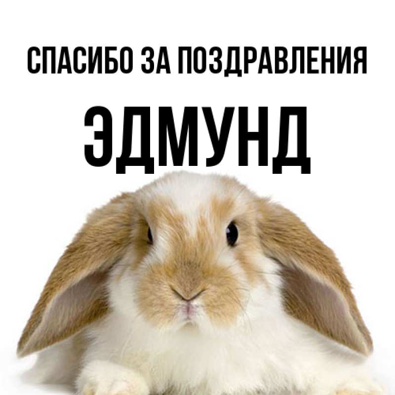 Картинка Спасибо за поздравления, Эдмунд