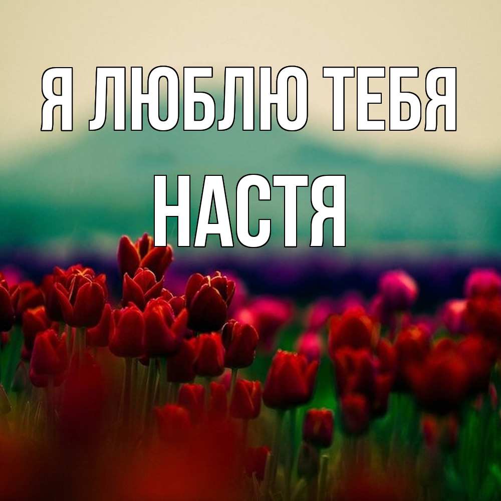 Открытка  с именем. Настя, Я люблю тебя  