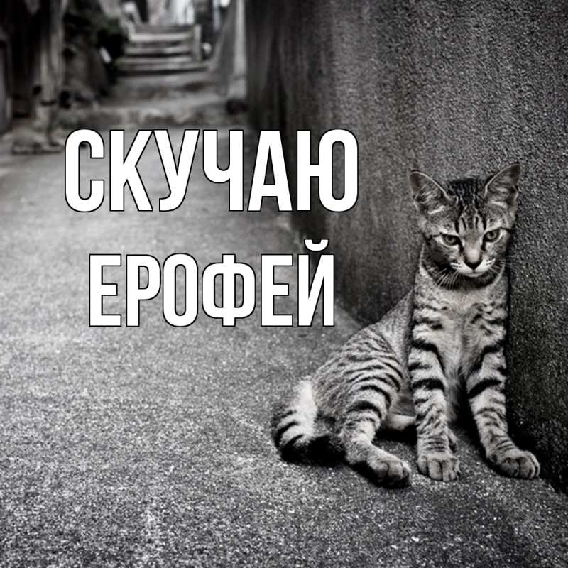 Открытка с именем, Ерофей, Скучаю