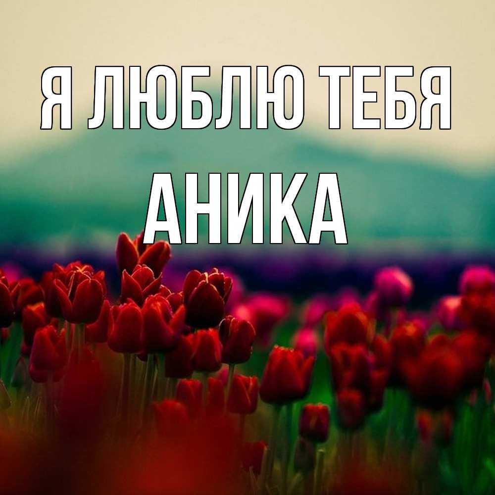 Открытка  с именем. Аника, Я люблю тебя  