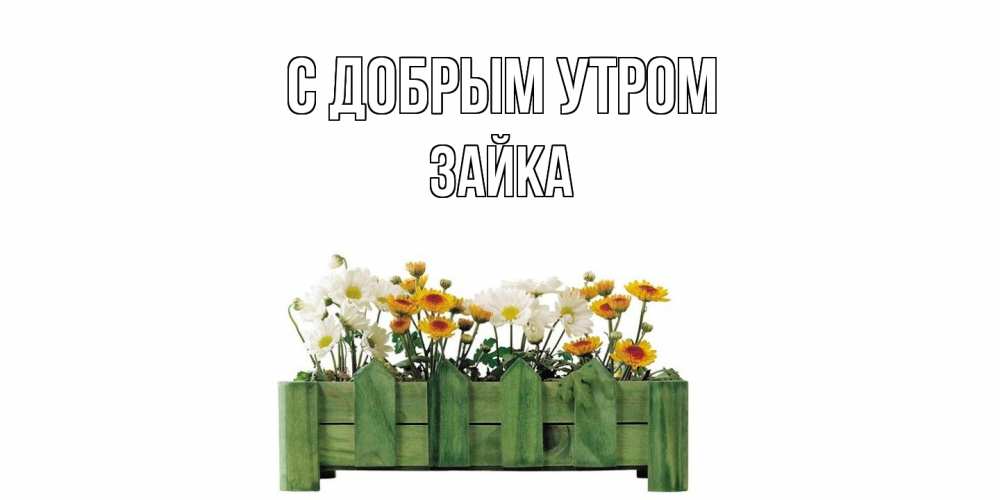 Открытка  с именем. Зайка, С добрым утром  