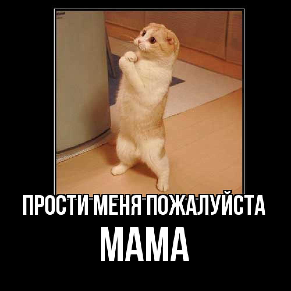 Открытка  с именем. Мама, Прости меня пожалуйста  