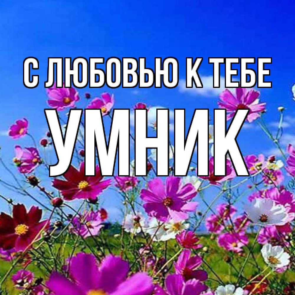 Открытка  с именем. Умник, С любовью к тебе  