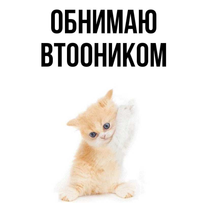 Картинка Обнимаю, Втооником